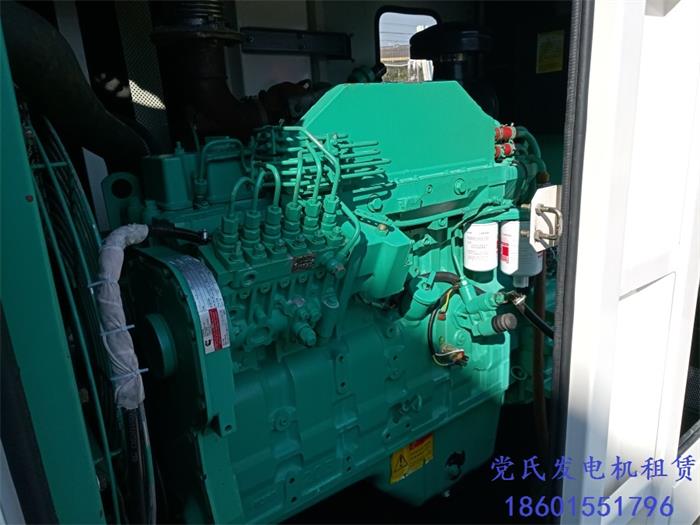 柴油發電機組租賃關於發電機組係統不充電的原因及處理方法的介紹