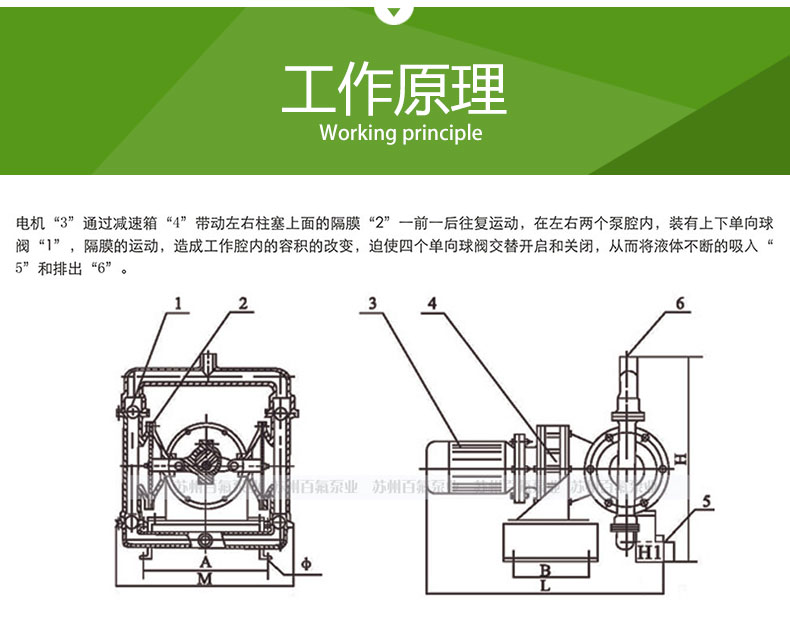 DBY型_電動隔膜（mó）泵(圖3)