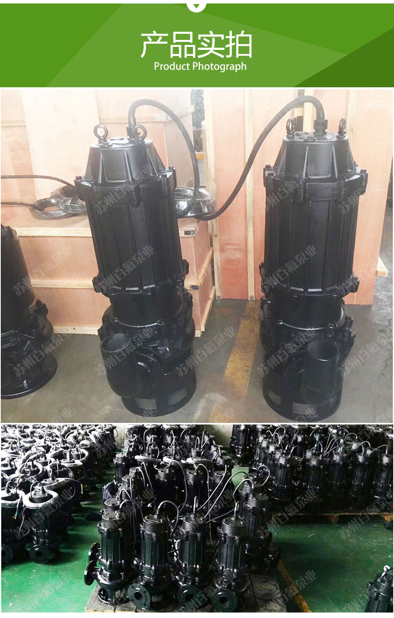 QW型潛水排汙泵（bèng）(圖6)