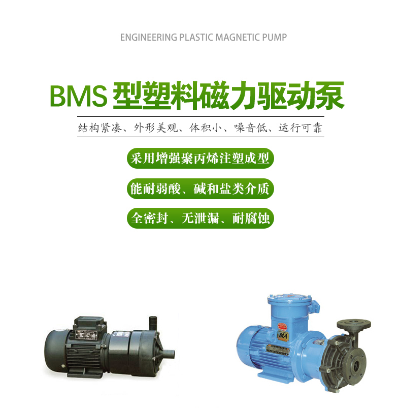 BMS型（xíng）_塑料磁力泵(圖1)